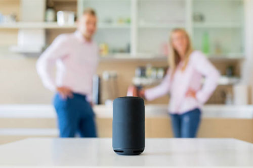 Smart Speaker